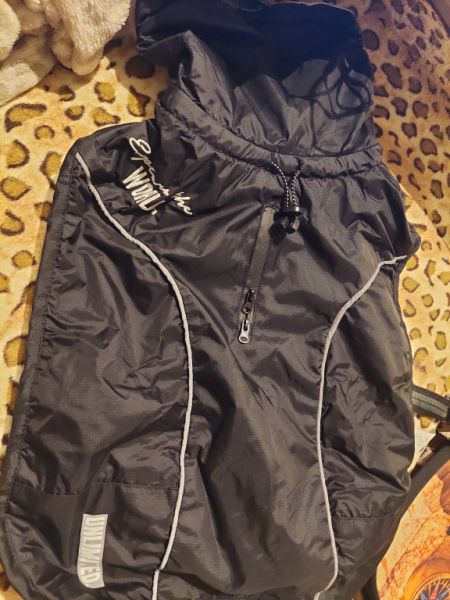 Various Dog Clothing and Accessories