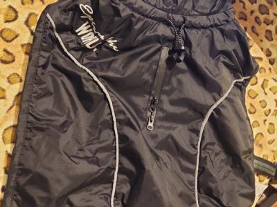 Various Dog Clothing and Accessories