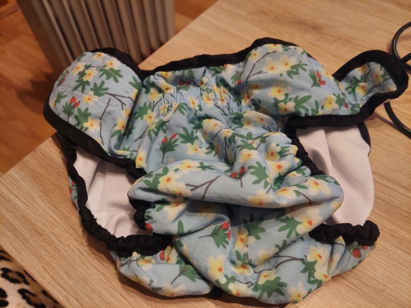 Various Dog Clothing and Accessories