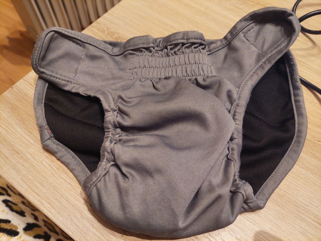 Various Dog Clothing and Accessories