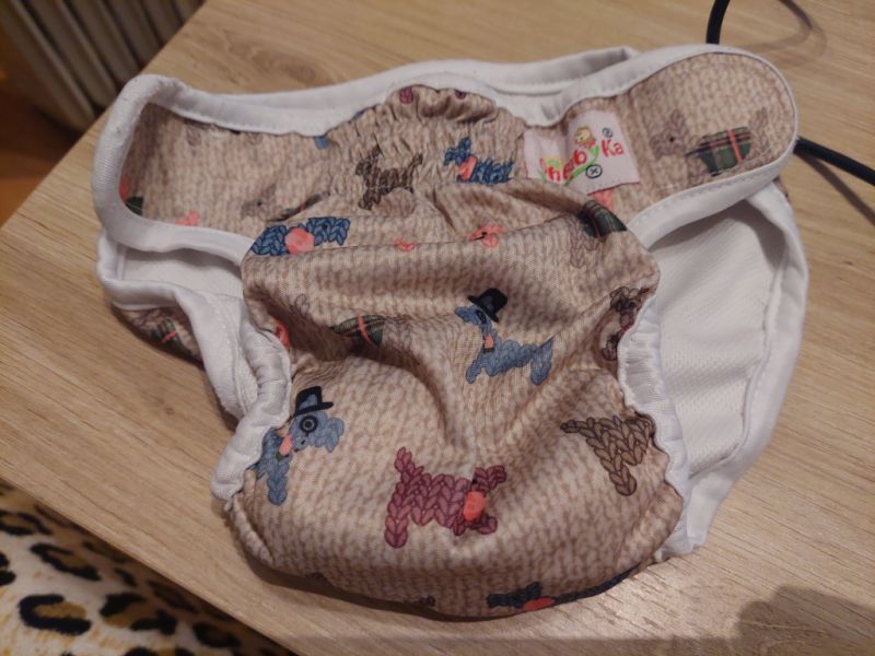 Various Dog Clothing and Accessories