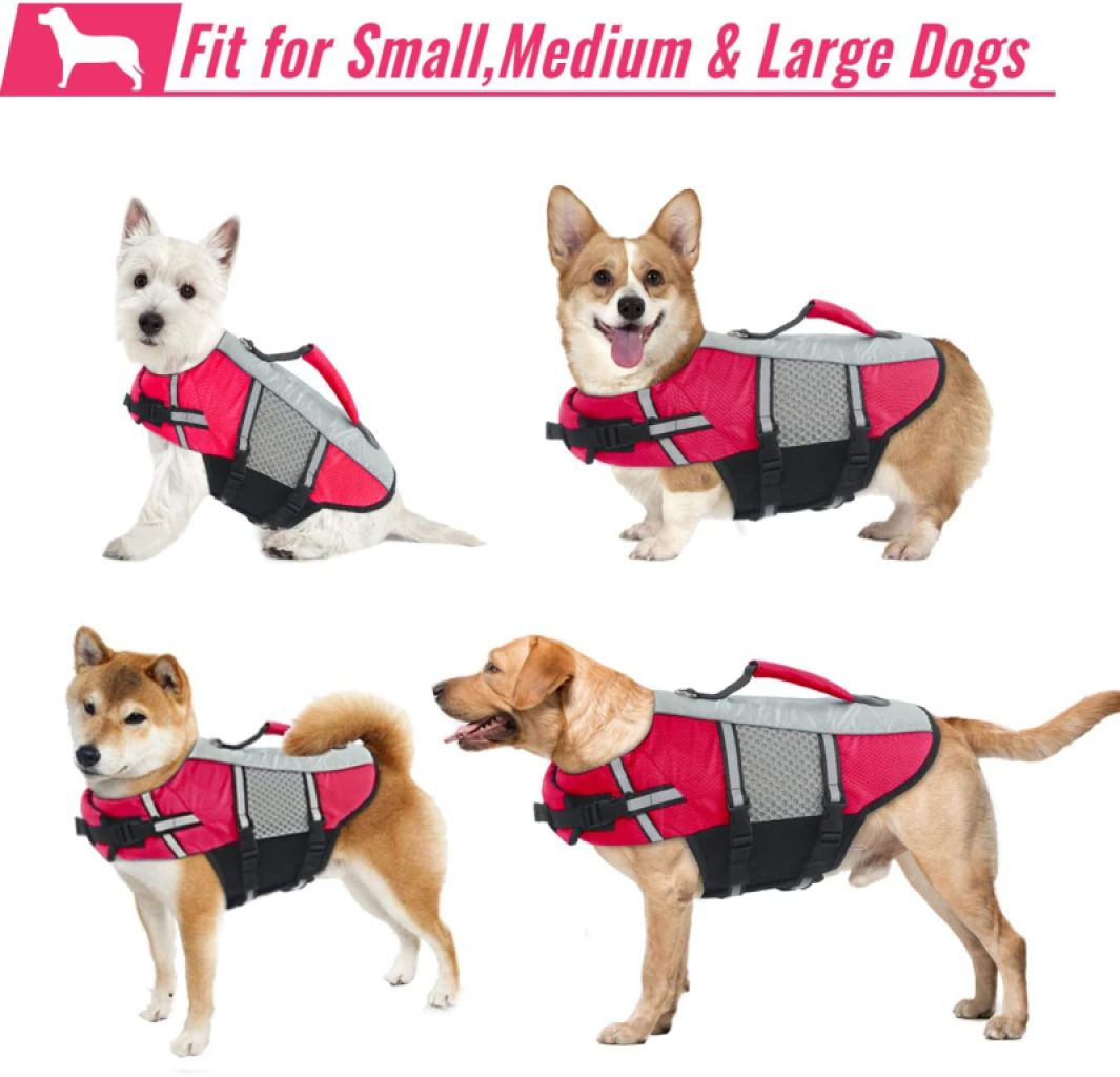 Various Dog Clothing and Accessories