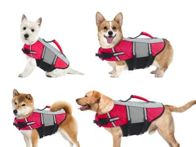 Various Dog Clothing and Accessories
