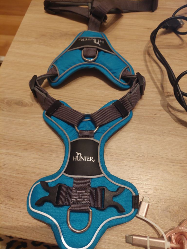 Various Dog Clothing and Accessories