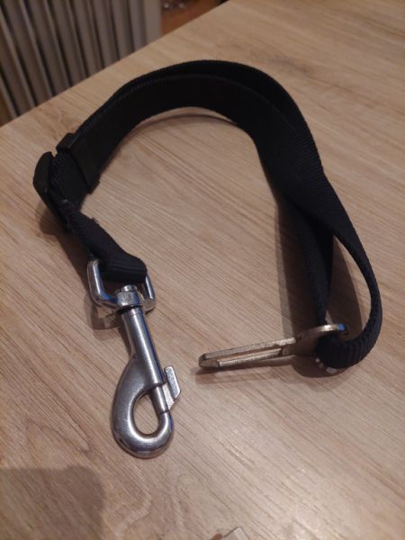 Various Dog Clothing and Accessories