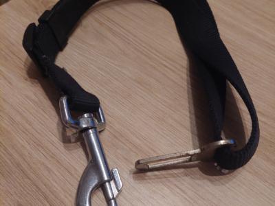 Various Dog Clothing and Accessories