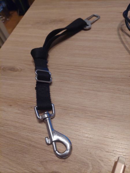 Various Dog Clothing and Accessories