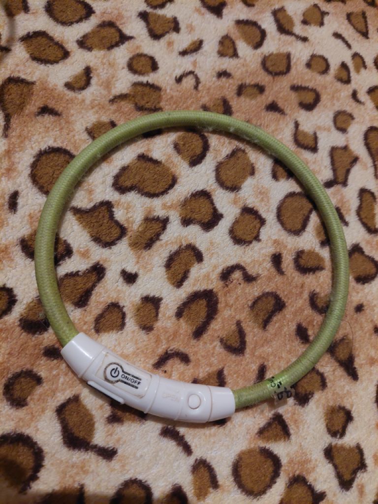 Various Dog Clothing and Accessories