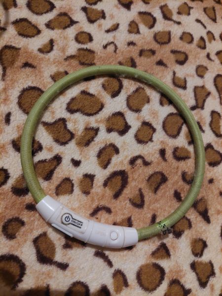 Various Dog Clothing and Accessories