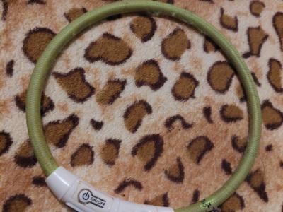 Various Dog Clothing and Accessories