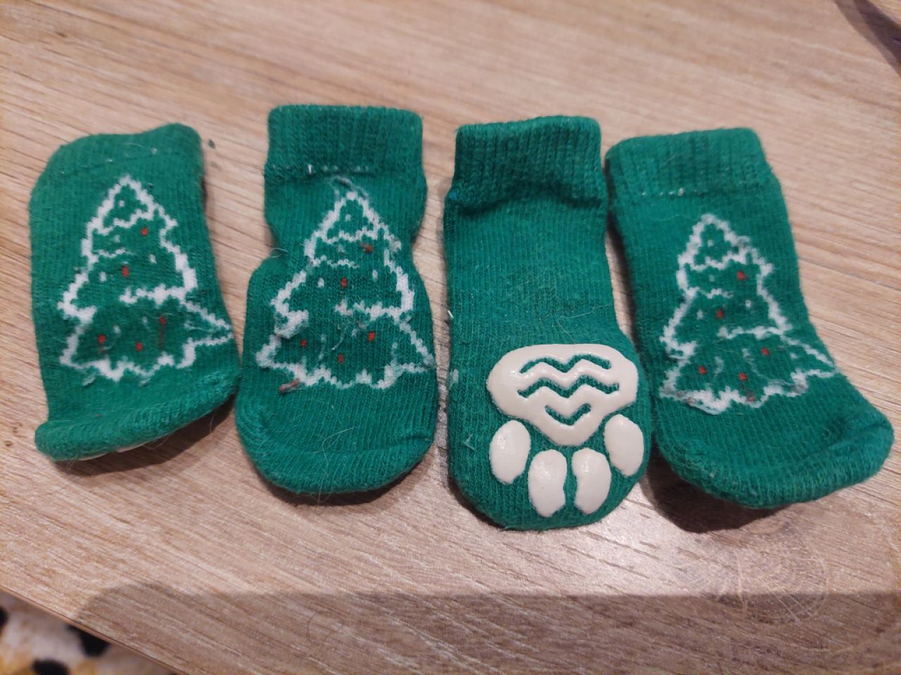 Various Dog Clothing and Accessories