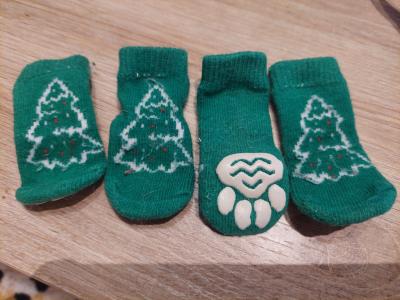 Various Dog Clothing and Accessories